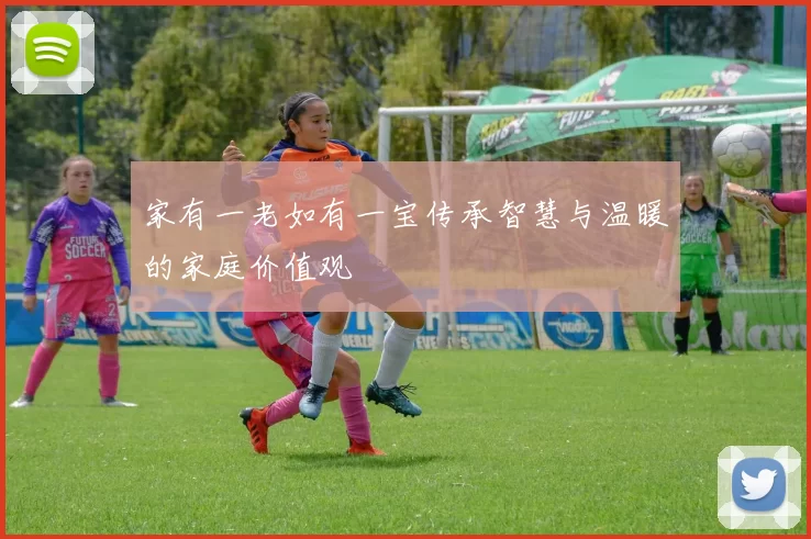 家有一老如有一宝传承智慧与温暖的家庭价值观