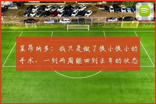 莱昂纳多：我只是做了很小很小的手术，一到两周能回到去年的状态
